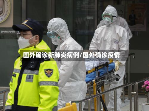 国外确诊新肺炎病例/国外确诊疫情-第3张图片