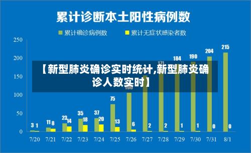 【新型肺炎确诊实时统计,新型肺炎确诊人数实时】-第2张图片