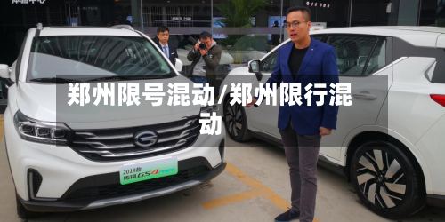 郑州限号混动/郑州限行混动