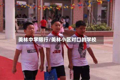 美林中学限行/美林小区对口的学校