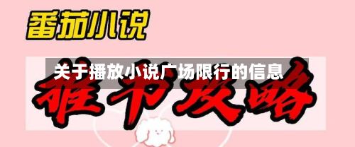 关于播放小说广场限行的信息