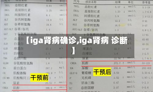 【iga肾病确诊,iga肾病 诊断】
