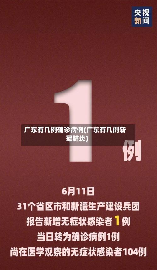 广东有几例确诊病例(广东有几例新冠肺炎)-第2张图片