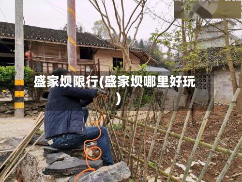 盛家坝限行(盛家坝哪里好玩)