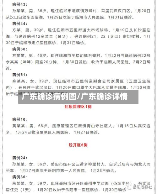 广东确诊病例图/广东确诊详情-第3张图片