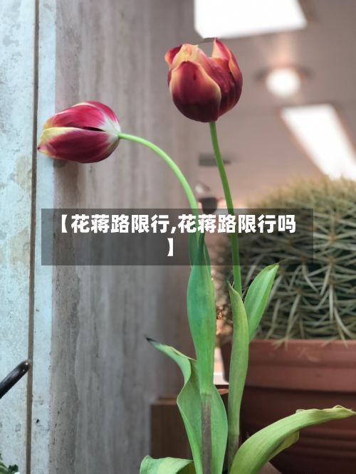 【花蒋路限行,花蒋路限行吗】