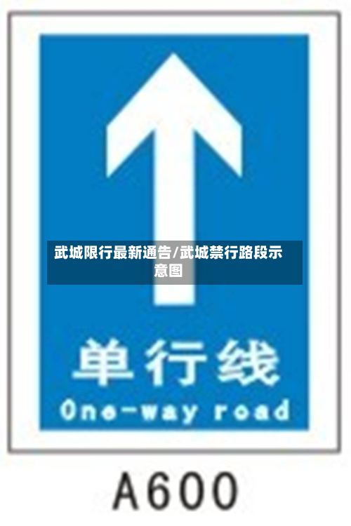 武城限行最新通告/武城禁行路段示意图