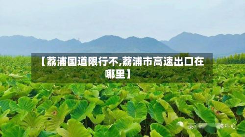 【荔浦国道限行不,荔浦市高速出口在哪里】