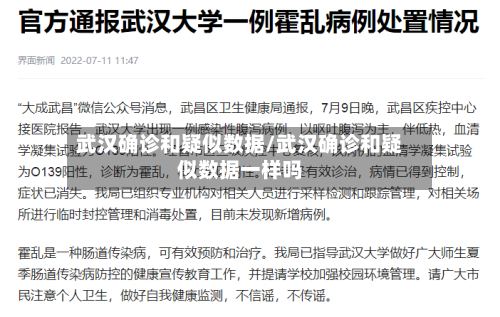 武汉确诊和疑似数据/武汉确诊和疑似数据一样吗-第2张图片