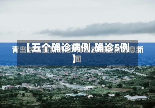 【五个确诊病例,确诊5例】
