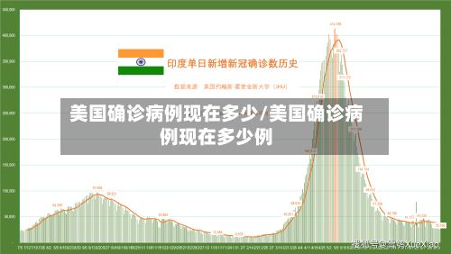 美国确诊病例现在多少/美国确诊病例现在多少例-第2张图片
