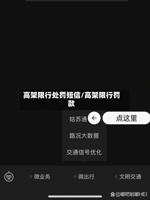 高架限行处罚短信/高架限行罚款-第2张图片