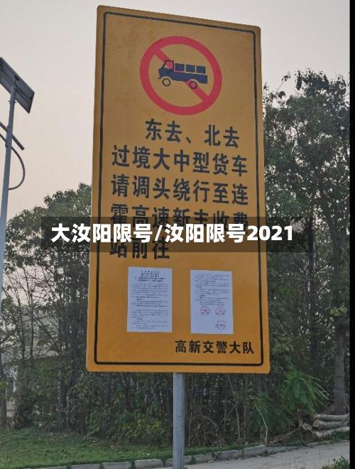 大汝阳限号/汝阳限号2021