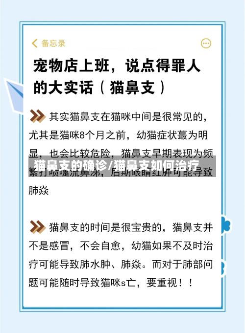 猫鼻支的确诊/猫鼻支如何治疗-第3张图片