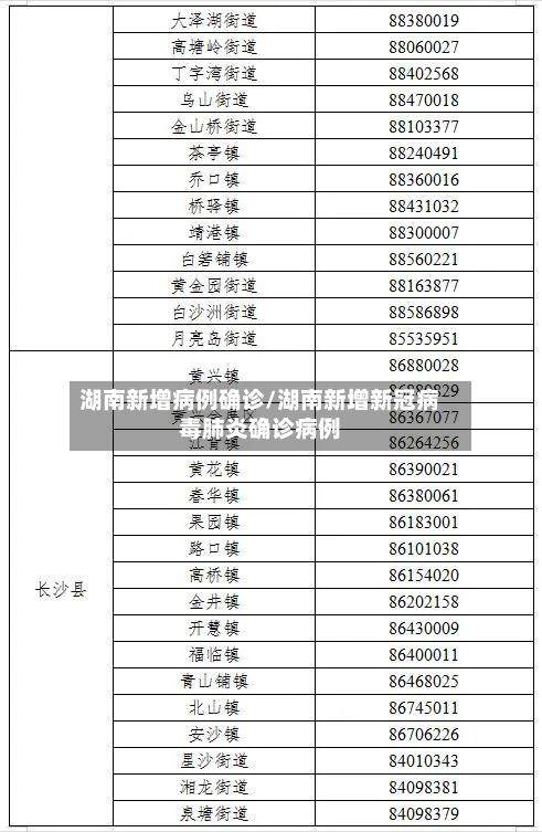 湖南新增病例确诊/湖南新增新冠病毒肺炎确诊病例