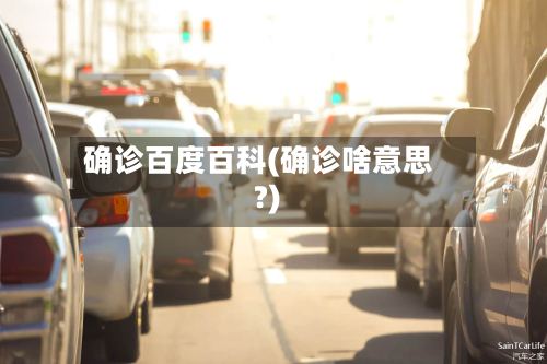 确诊百度百科(确诊啥意思?)
