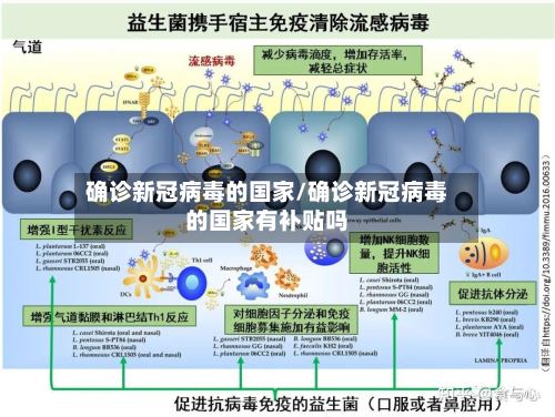 确诊新冠病毒的国家/确诊新冠病毒的国家有补贴吗