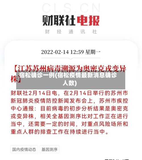 宿松确诊一例(宿松疫情最新消息确诊人数)-第2张图片