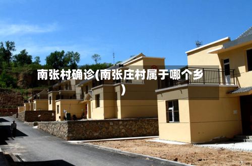 南张村确诊(南张庄村属于哪个乡)
