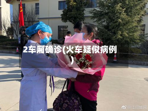 2车厢确诊(火车疑似病例)-第2张图片