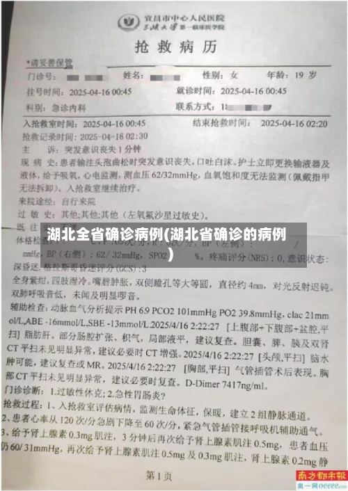 湖北全省确诊病例(湖北省确诊的病例)-第2张图片