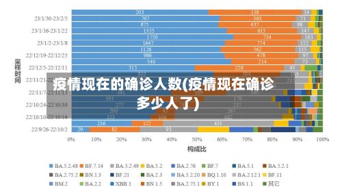 疫情现在的确诊人数(疫情现在确诊多少人了)