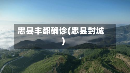 忠县丰都确诊(忠县封城)-第2张图片
