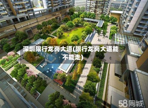 深圳限行龙岗大道(限行龙岗大道能不能走)-第2张图片