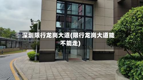 深圳限行龙岗大道(限行龙岗大道能不能走)-第3张图片