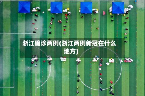 浙江确诊两例(浙江两例新冠在什么地方)-第2张图片