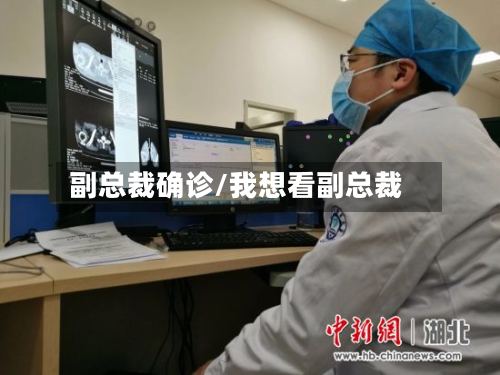 副总裁确诊/我想看副总裁-第2张图片