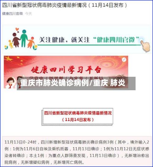 重庆市肺炎确诊病例/重庆 肺炎-第2张图片