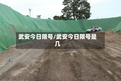 武安今日限号/武安今日限号是几