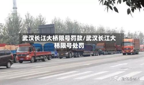 武汉长江大桥限号罚款/武汉长江大桥限号处罚-第2张图片