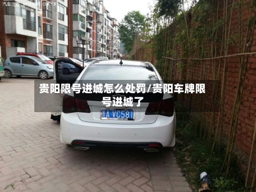 贵阳限号进城怎么处罚/贵阳车牌限号进城了-第3张图片