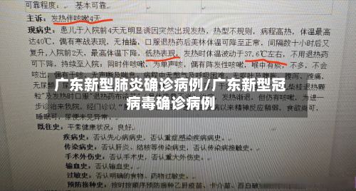广东新型肺炎确诊病例/广东新型冠病毒确诊病例