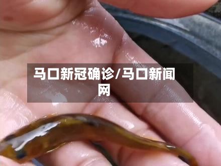 马口新冠确诊/马口新闻网